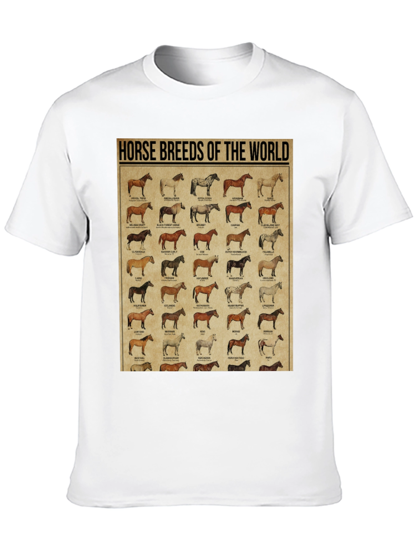 Horse Breeds of the World Graphic Tee