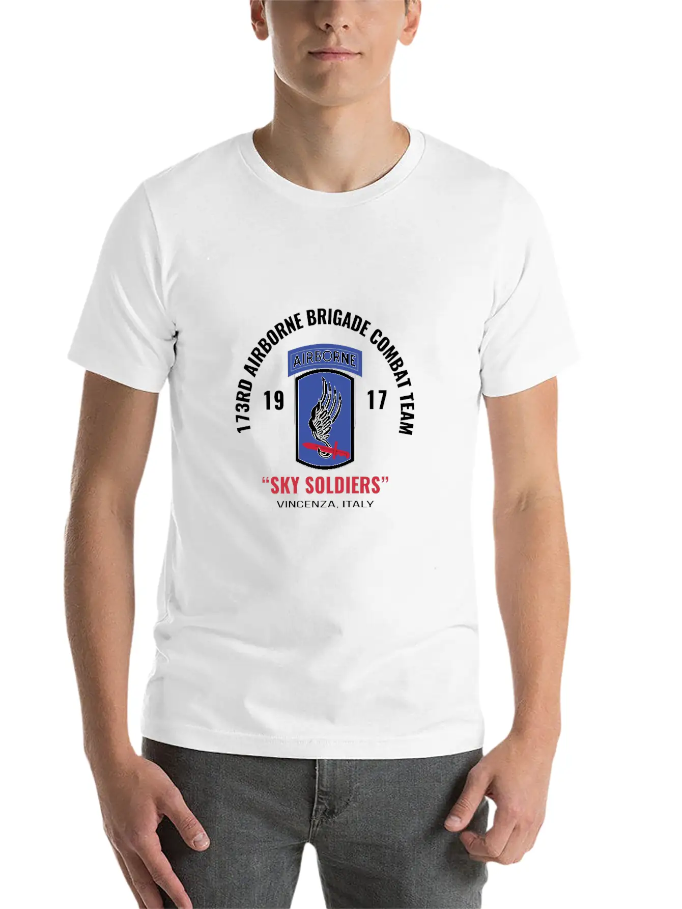 Sky Soldiers 173Rd Airborne Combat Team Unisex Casual T-Shirt – Clean Design For Daily Comfort