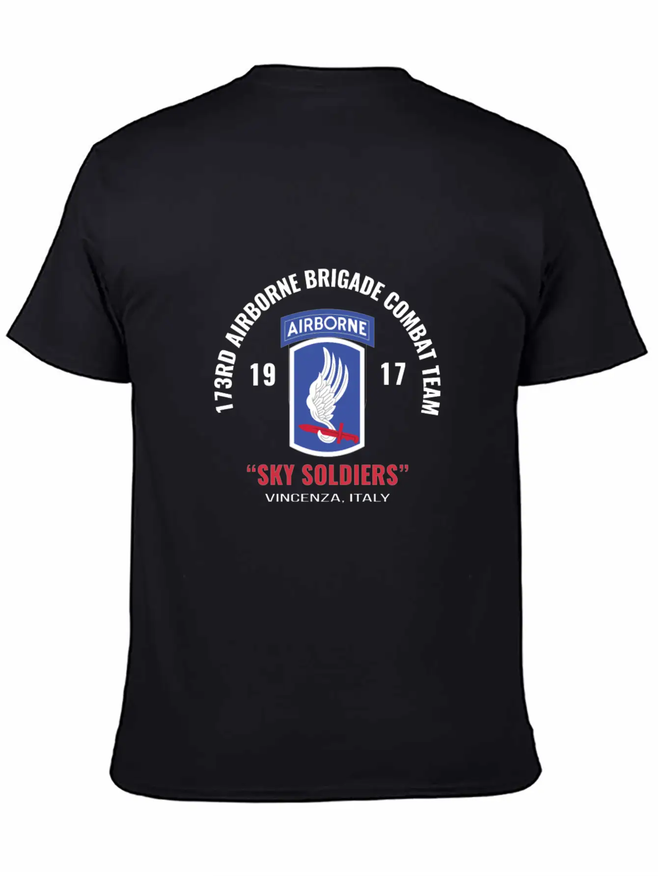 Sky Soldiers 173Rd Airborne Combat Team Unisex Casual T-Shirt – Clean Design For Daily Comfort