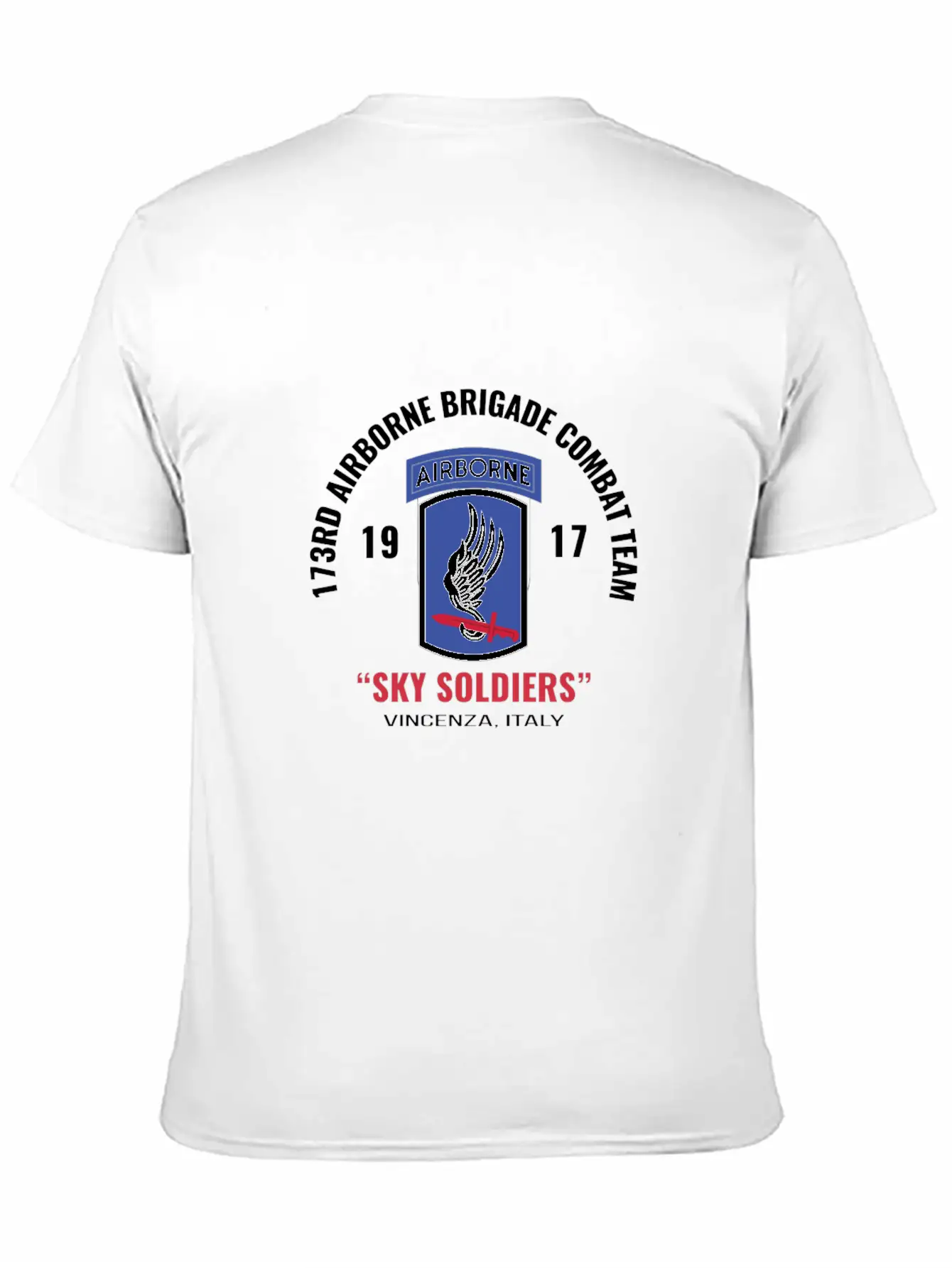 Sky Soldiers 173Rd Airborne Combat Team Unisex Casual T-Shirt – Clean Design For Daily Comfort