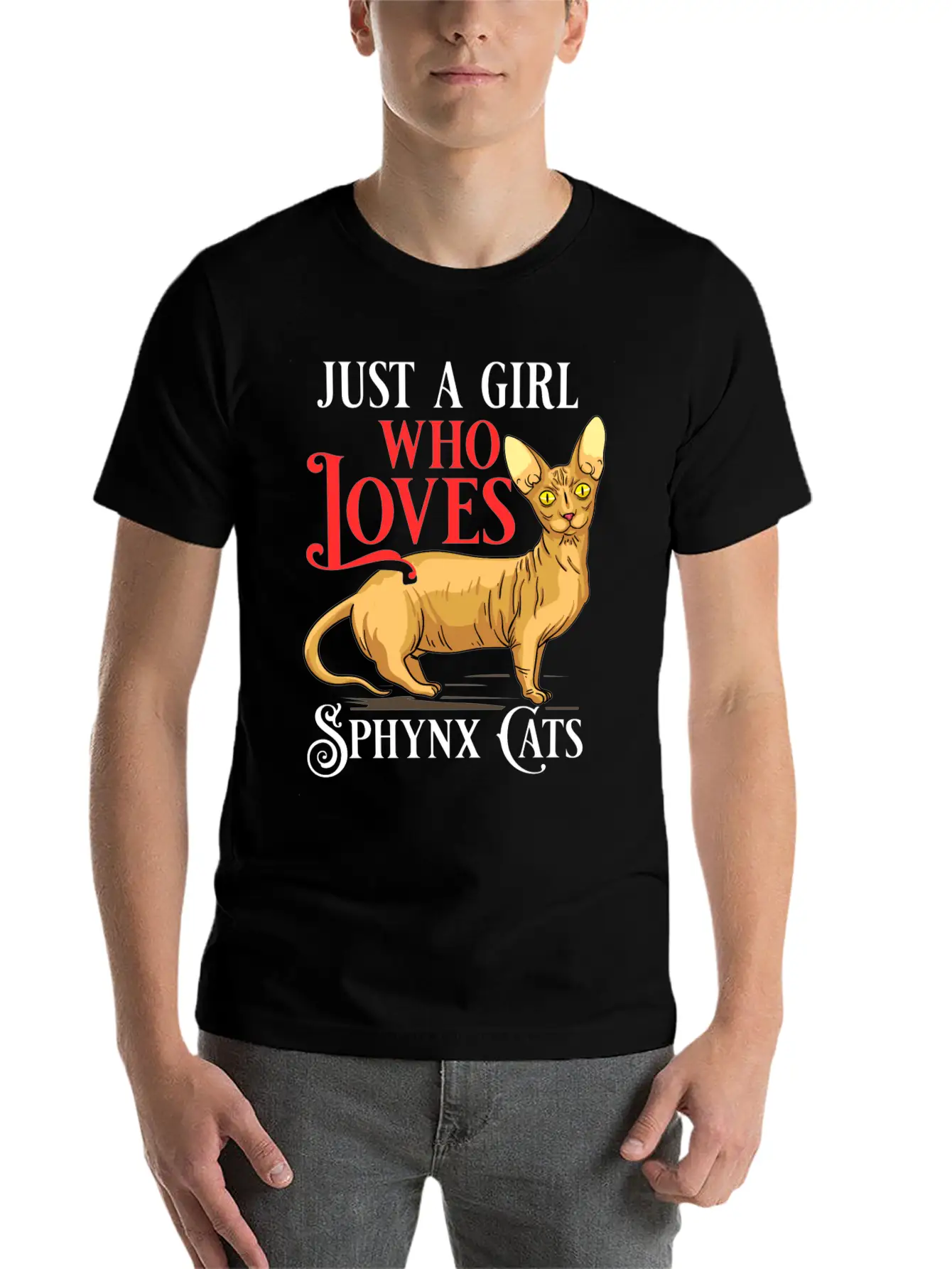 Sphynx Cat Hairless Kitten Egypt Funny Basic Graphic T-Shirt – Daily Comfort In Soft Cotton