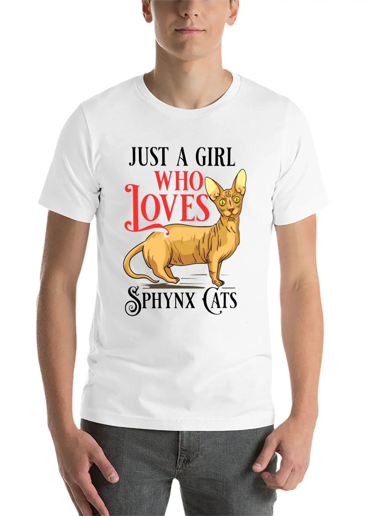 Sphynx Cat Hairless Kitten Egypt Funny Basic Graphic T-Shirt – Daily Comfort In Soft Cotton
