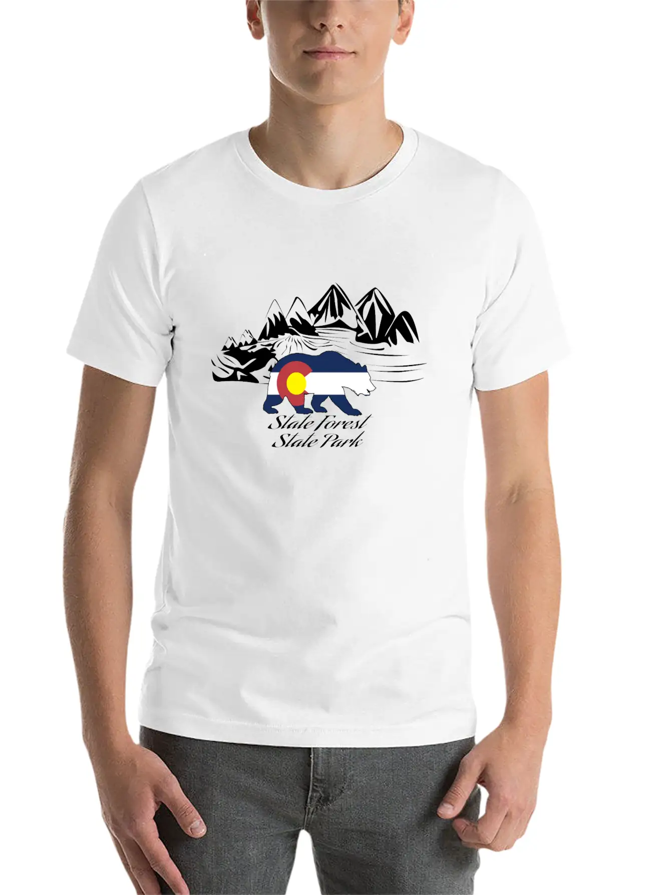 State Forest State Park Stylish Everyday T-Shirt – Unisex Basic Cotton Tee