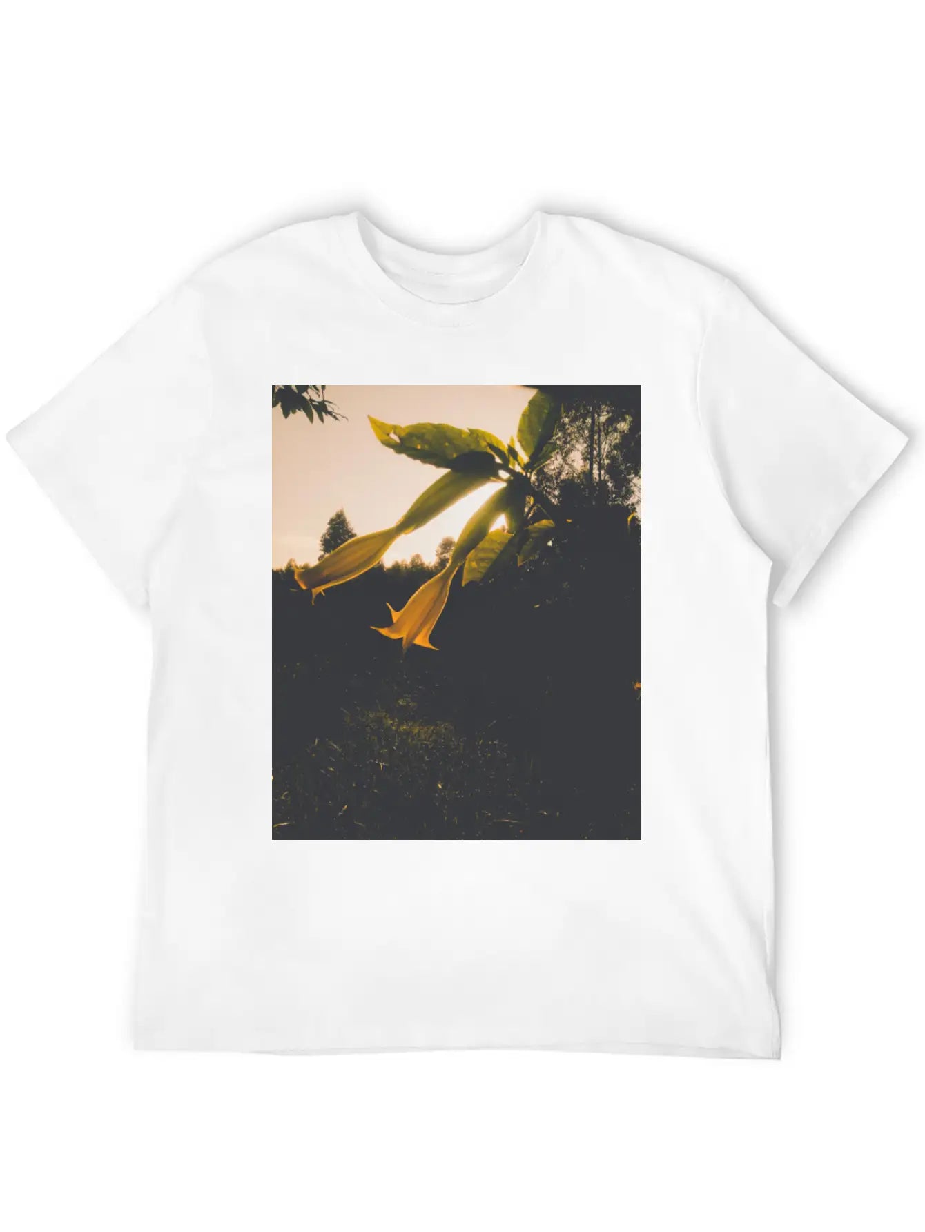 Sunrise Flower Stylish Everyday T-Shirt – Unisex Basic Cotton Tee