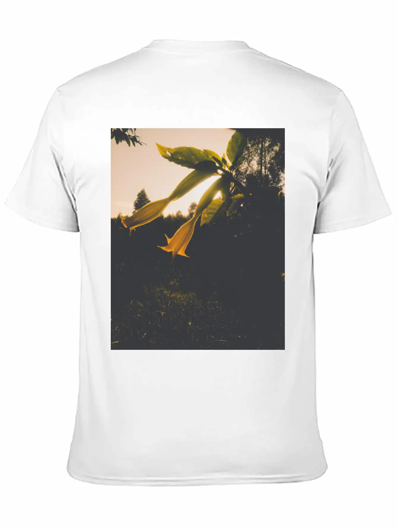 Sunrise Flower Stylish Everyday T-Shirt – Unisex Basic Cotton Tee