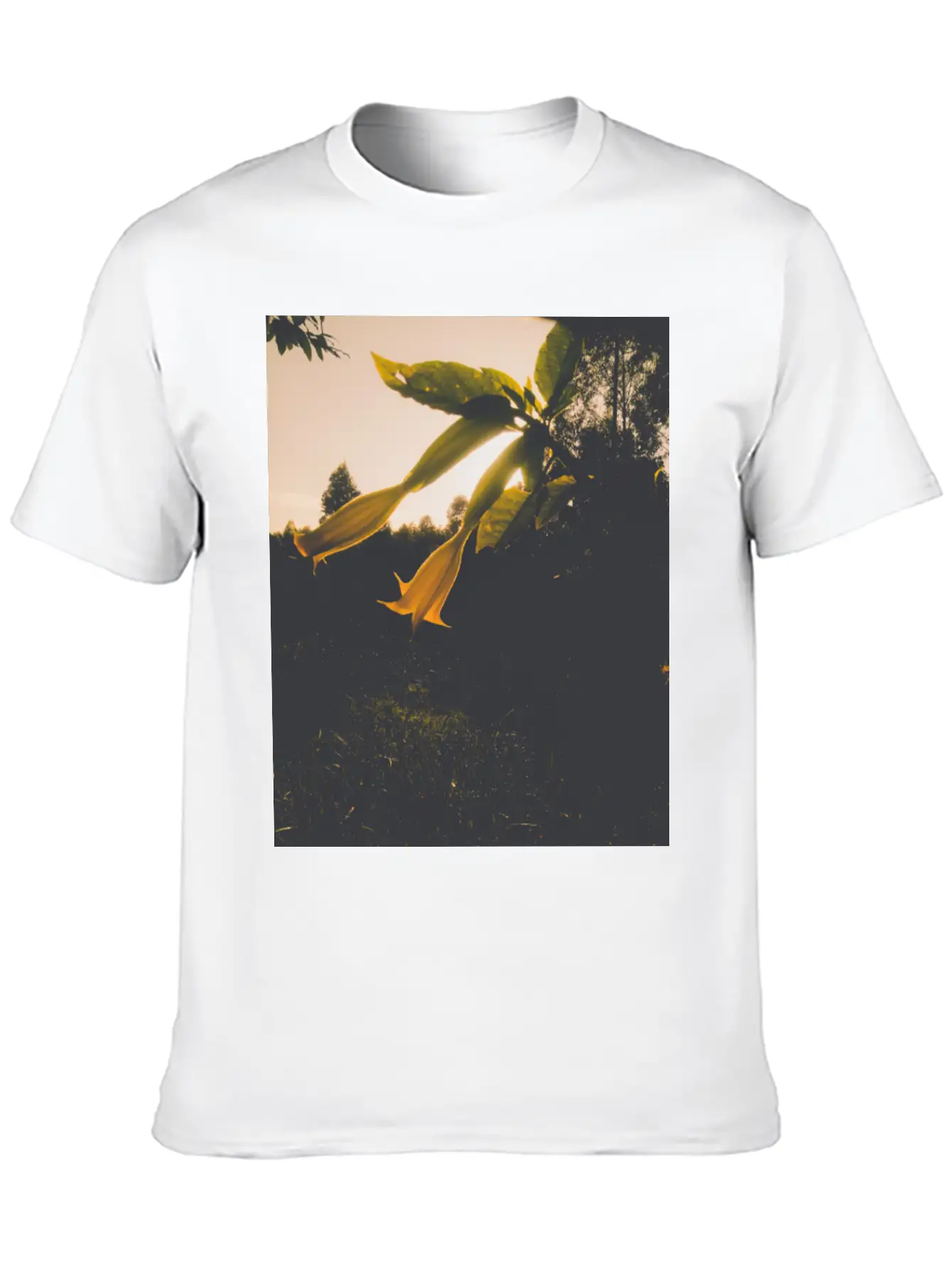 Sunrise Flower Stylish Everyday T-Shirt – Unisex Basic Cotton Tee