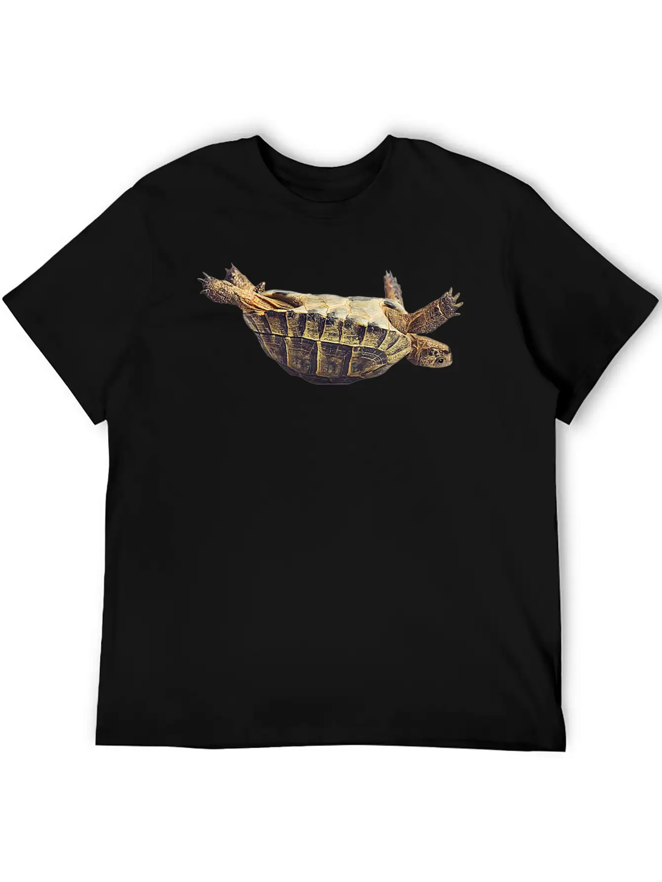 Turtle Comfortable Minimalist Graphic Tee – Summer Style Essential