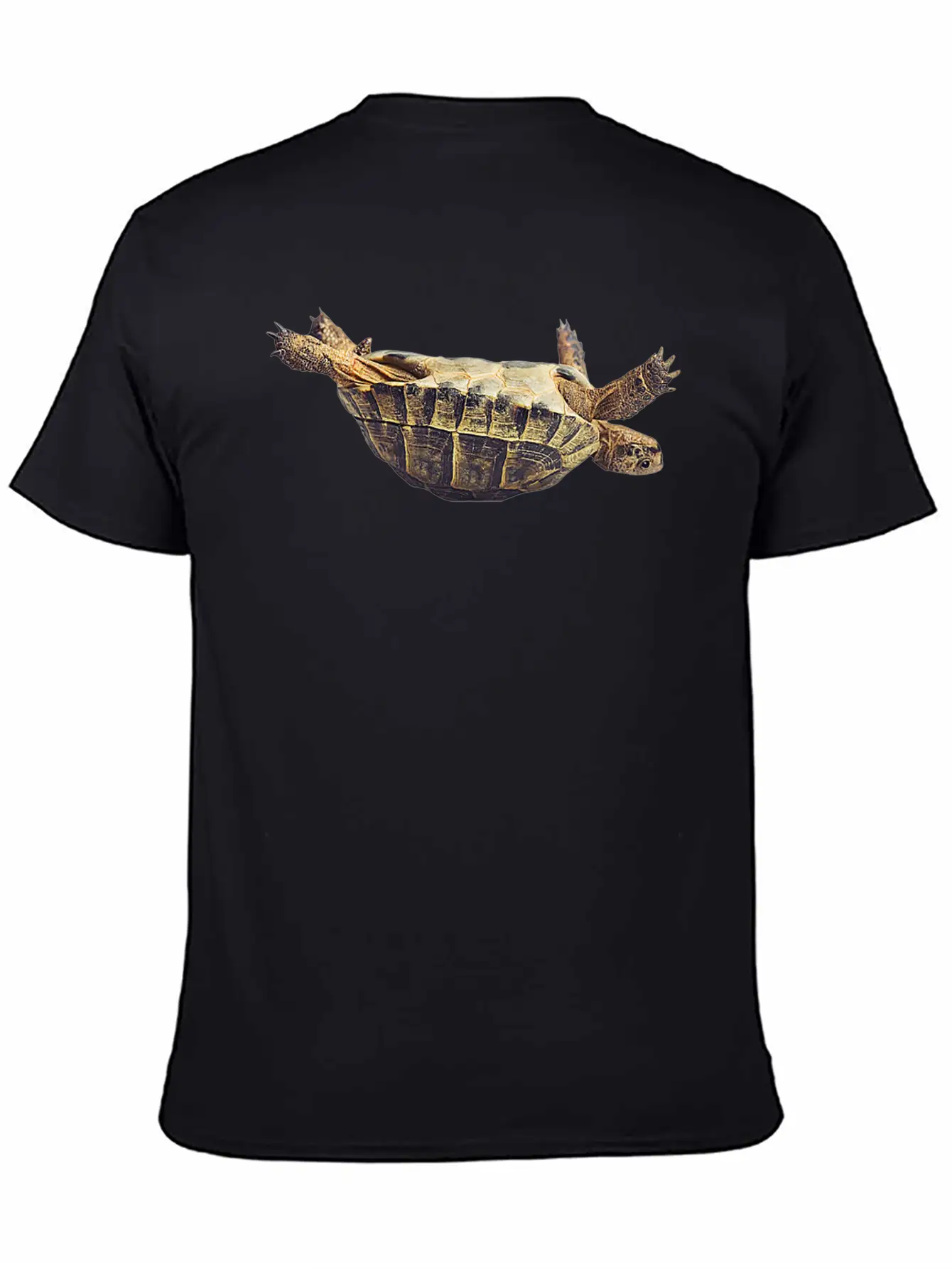 Turtle Comfortable Minimalist Graphic Tee – Summer Style Essential