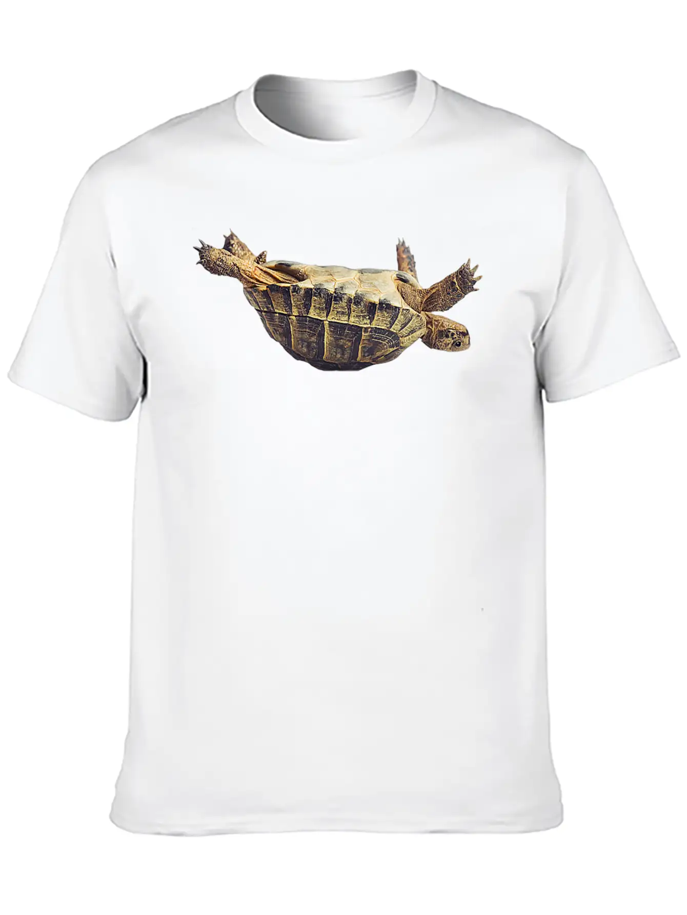 Turtle Comfortable Minimalist Graphic Tee – Summer Style Essential