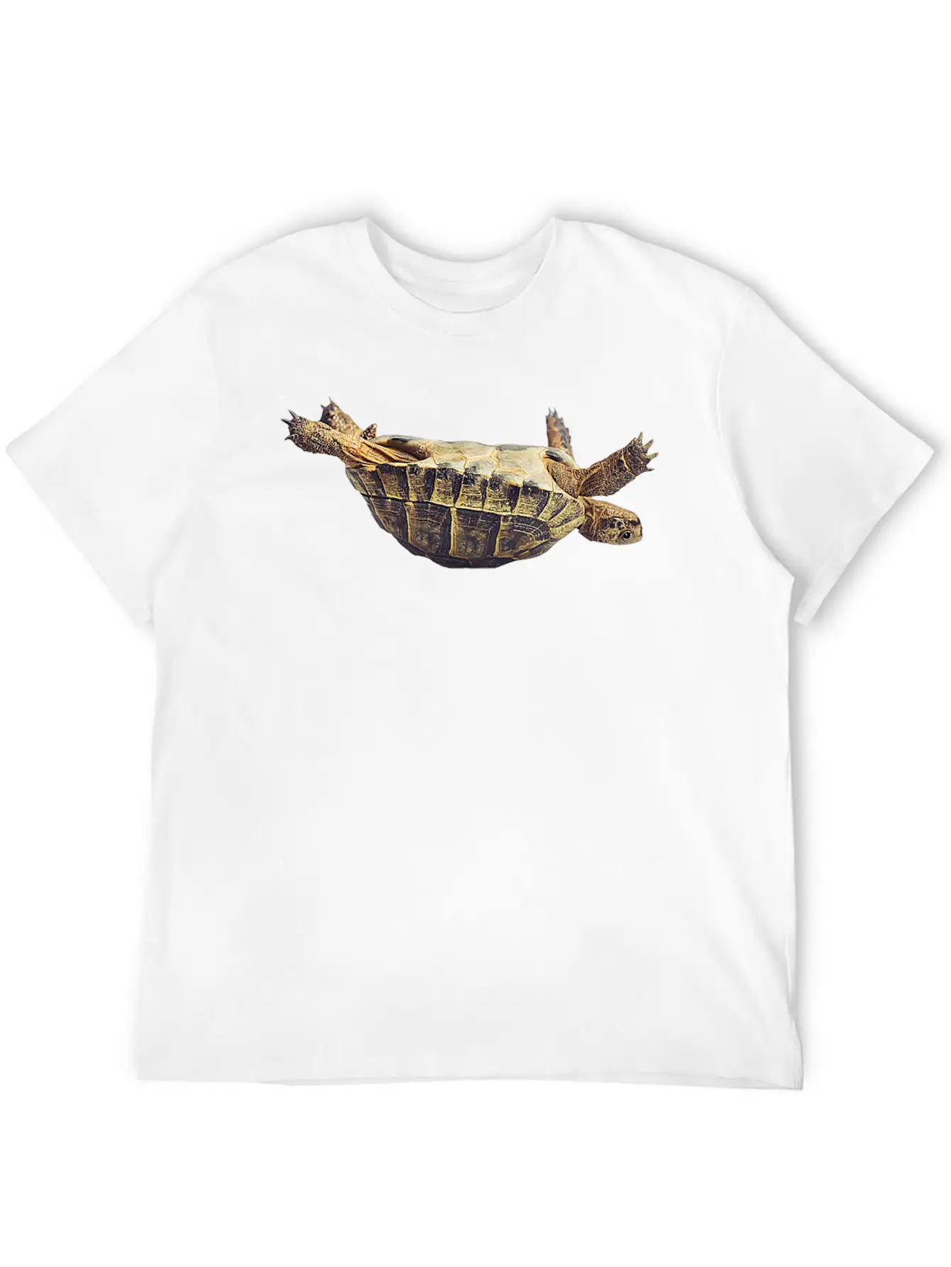 Turtle Comfortable Minimalist Graphic Tee – Summer Style Essential