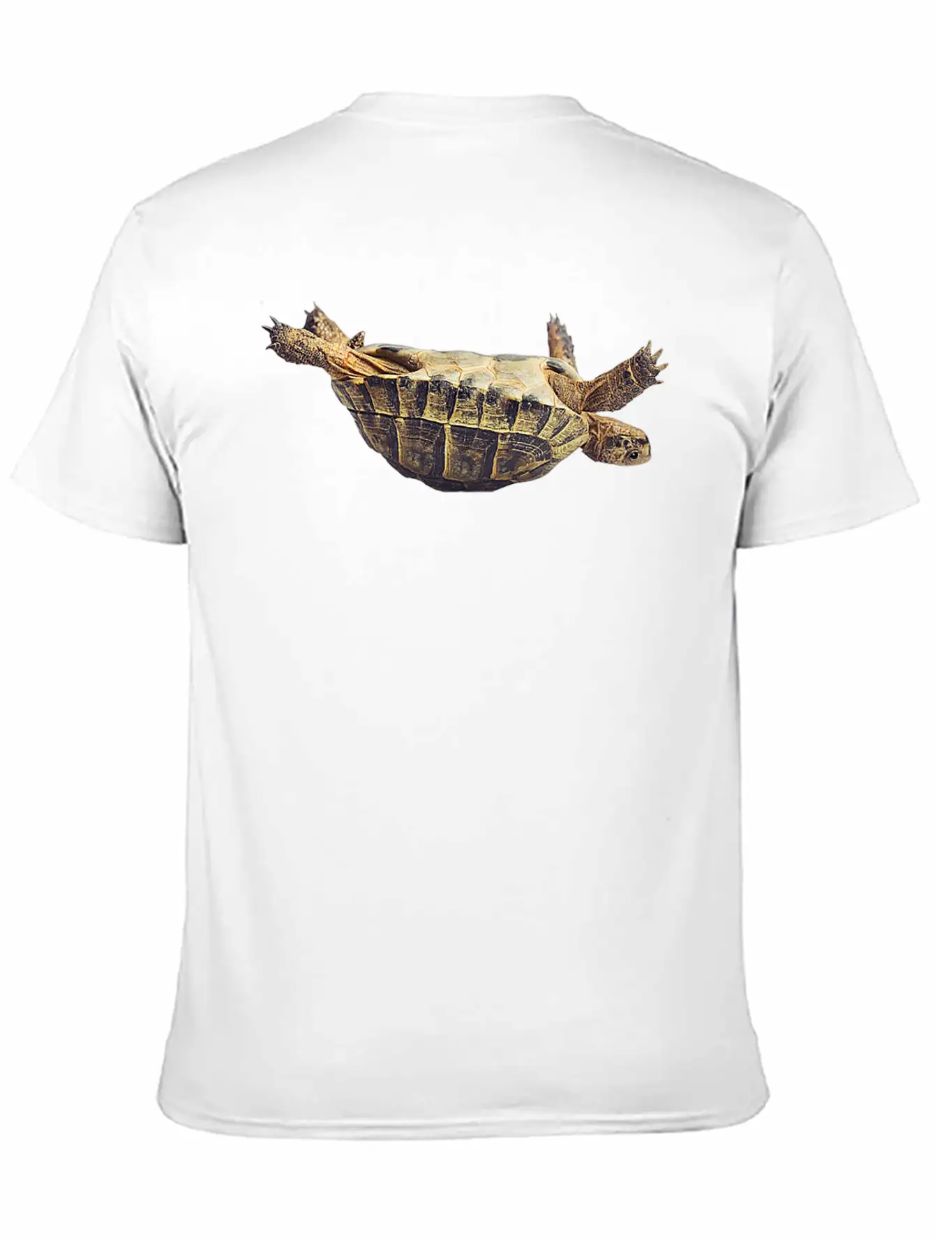 Turtle Comfortable Minimalist Graphic Tee – Summer Style Essential