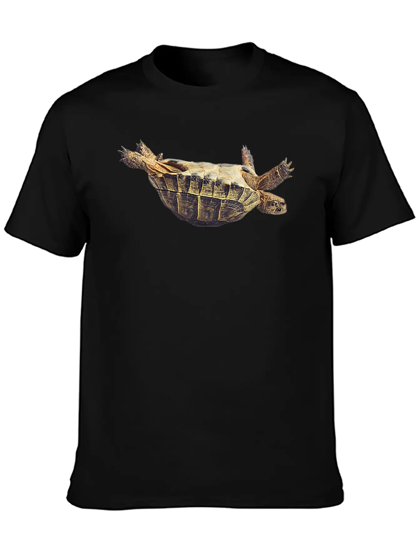 Turtle Comfortable Minimalist Graphic Tee – Summer Style Essential
