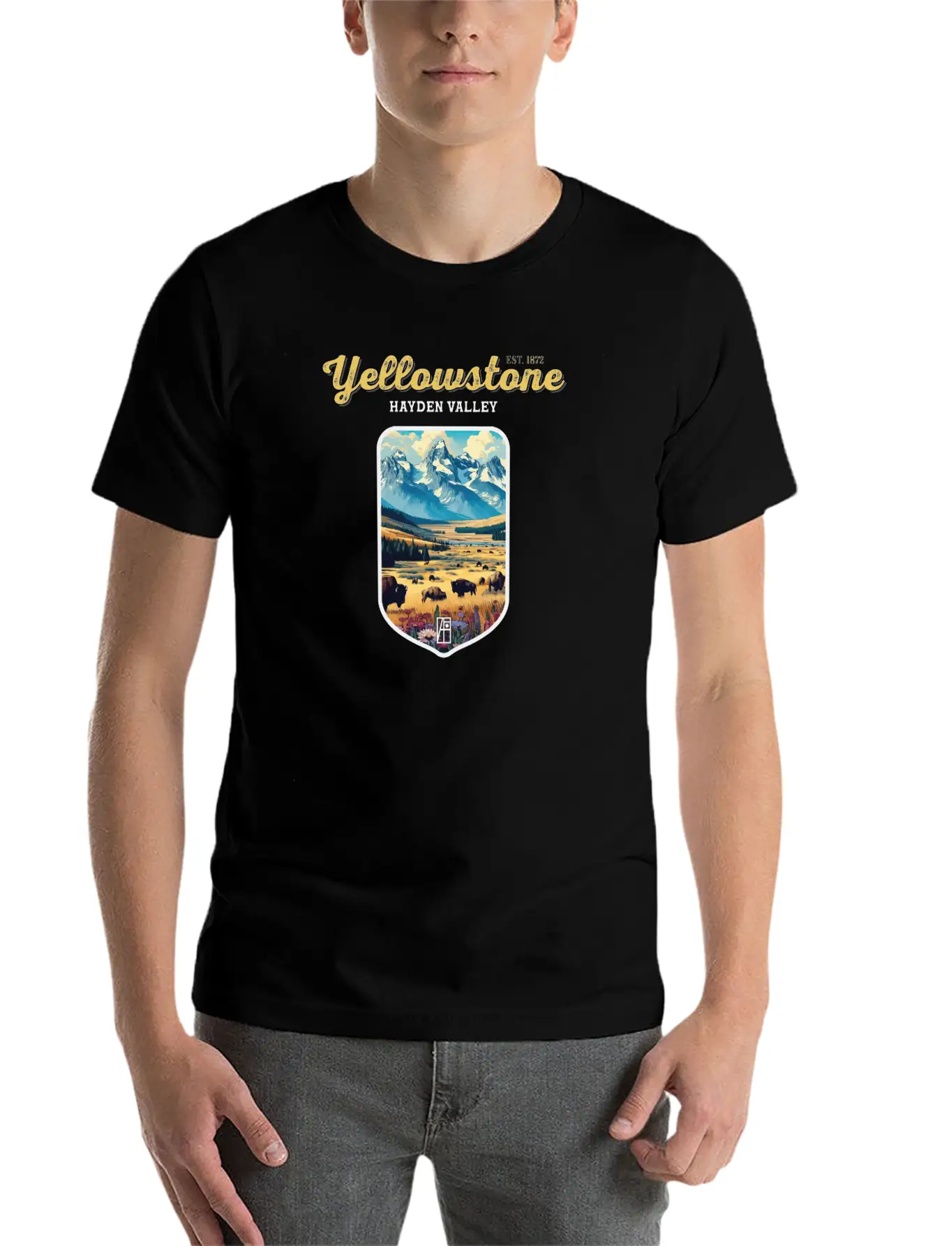 USA - YELLOWSTONE - Hayden Valley - 2 Basic Graphic T-Shirt – Daily Comfort In Soft Cotton