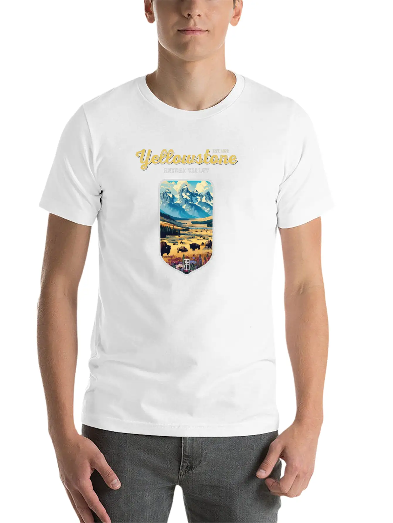 USA - YELLOWSTONE - Hayden Valley - 2 Basic Graphic T-Shirt – Daily Comfort In Soft Cotton